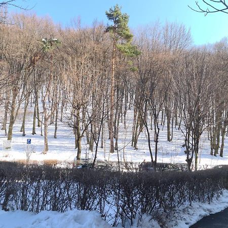 Artstudio Brasov Ngoại thất bức ảnh